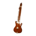 Banjira Sitar Fusion Tuning Gears G Rosul