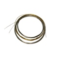 Banjira Tanpura Female String Set