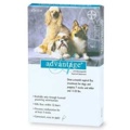 Advantage - For Dogs And Puppies 11-20 Lb