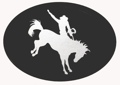 Trailer Hitch Cover - Bronco Rider 3 1/2 x 5