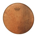 Remo Pandeiro Head 10 Inch Skyndeepr
