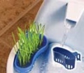 Aquagarden For Drinkwell