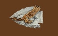 Eagle/Arrowhead Belt Buckle